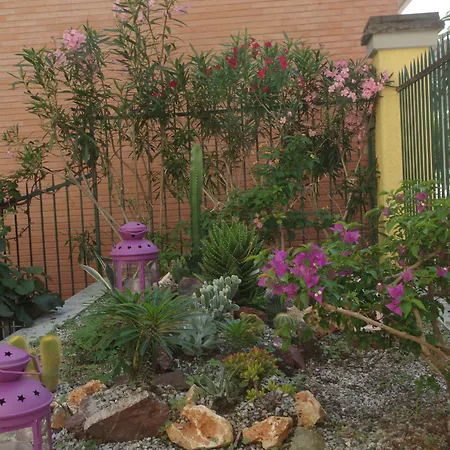 Hotel Alba Отель 3*